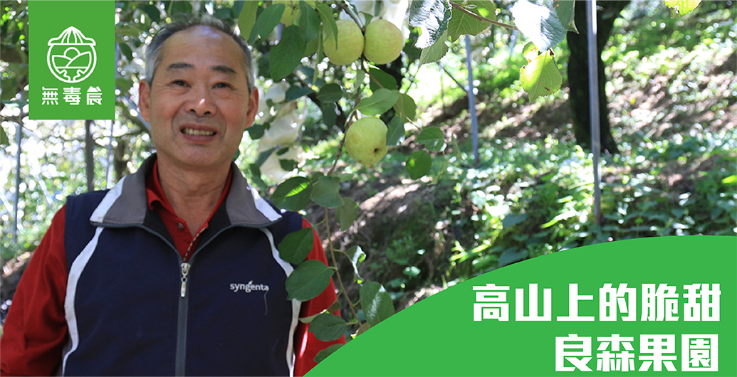 高山上的脆甜-「良森果園」