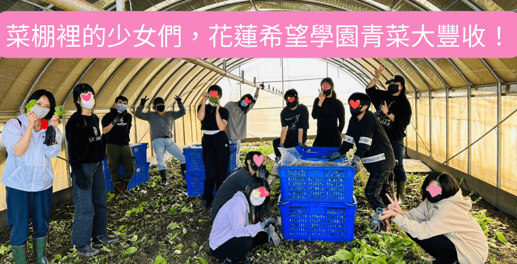 菜棚裡的少女們，花蓮希望學園青菜大豐收！