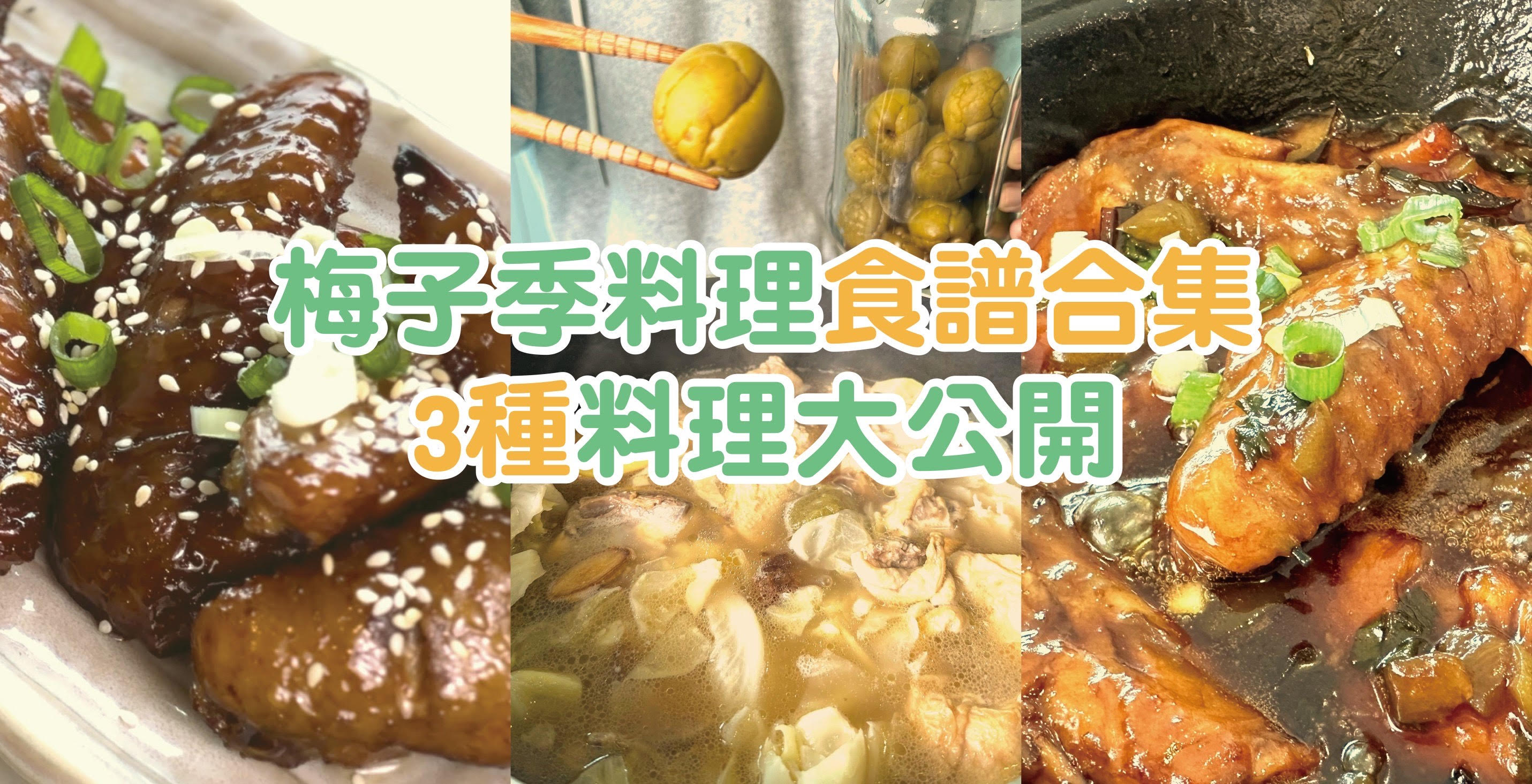 梅子料理食譜合集｜梅子燒（烤）雞翅、梅子雞湯料理食譜看這篇