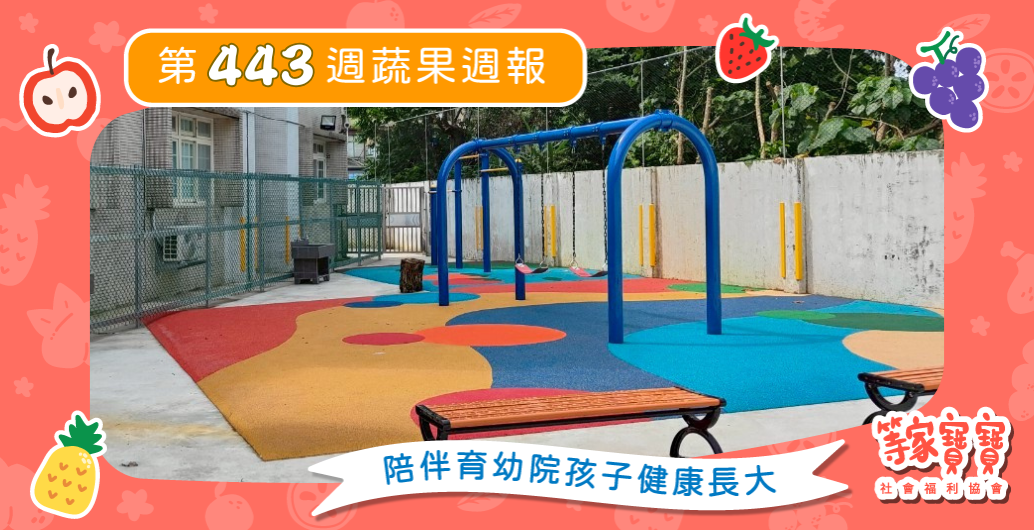 【空間重生！助緊急安置機構孩子的心靈新生】育幼院蔬果配送第443週