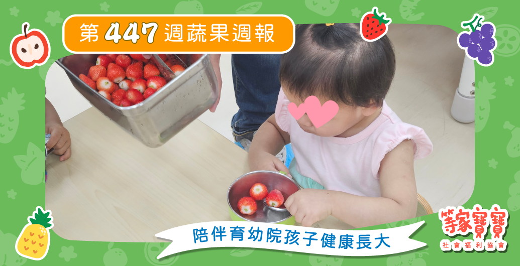【我們準備上電視啦～新鮮草莓直送育幼院！】育幼院蔬果配送第447週