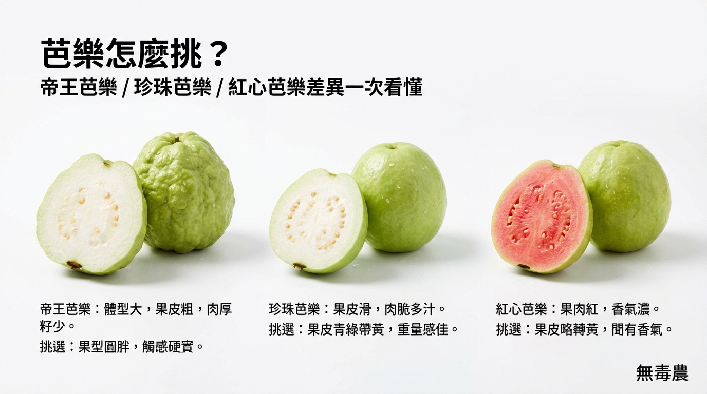 芭樂怎麼挑？帝王芭樂／珍珠芭樂／紅心芭樂差異一次看懂