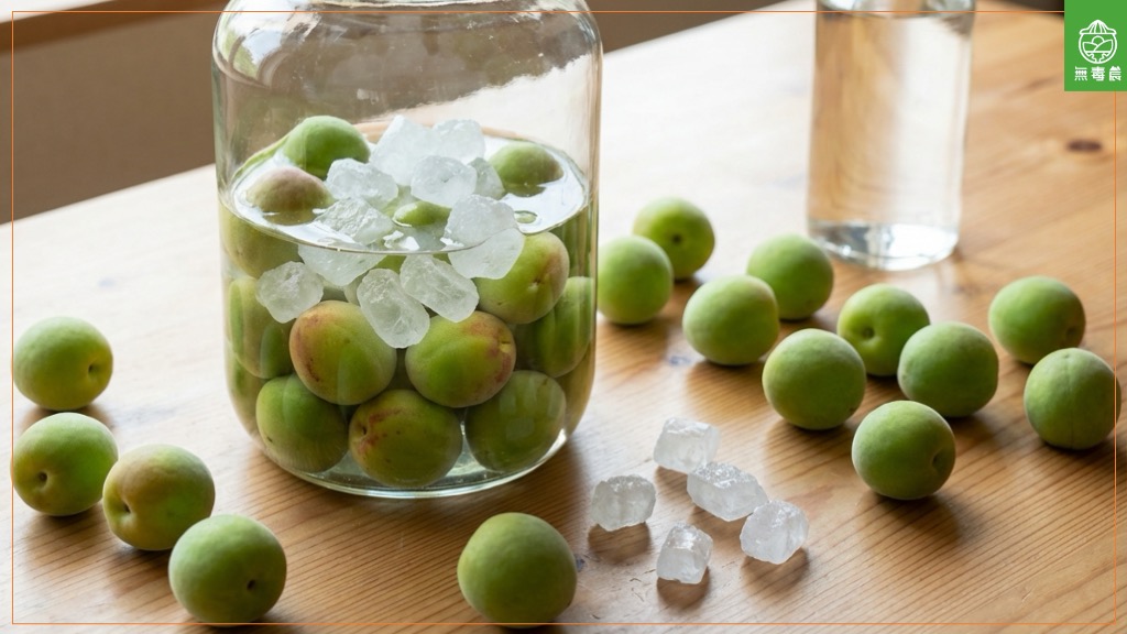 台灣梅子產地、品種、特色一次看懂｜青梅、黃梅、脆梅與梅酒完整指南