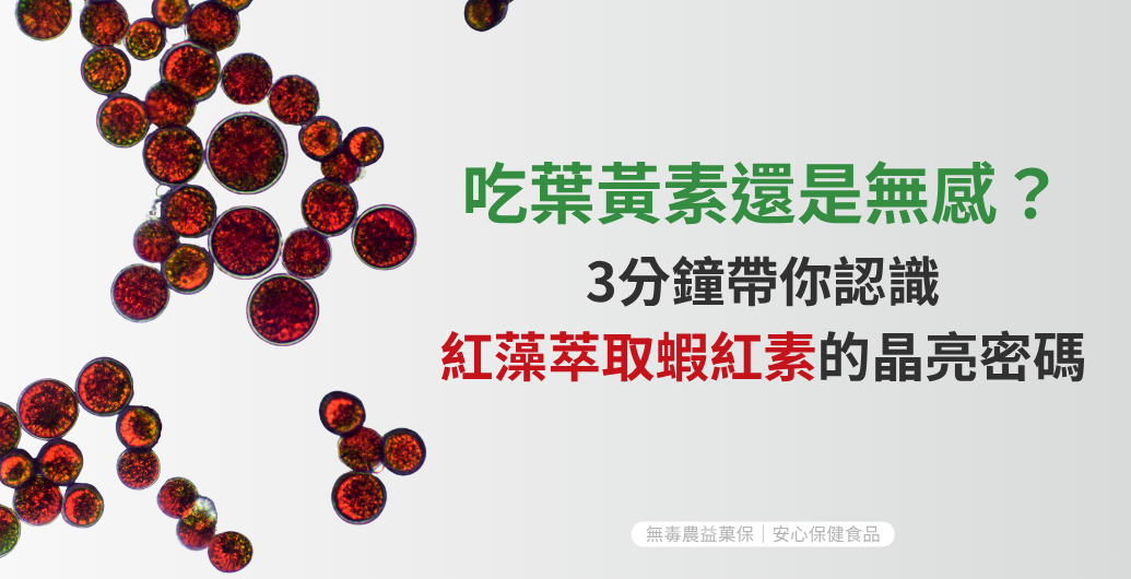 吃葉黃素還是無感？3分鐘帶你認識紅藻萃取蝦紅素的晶亮密碼