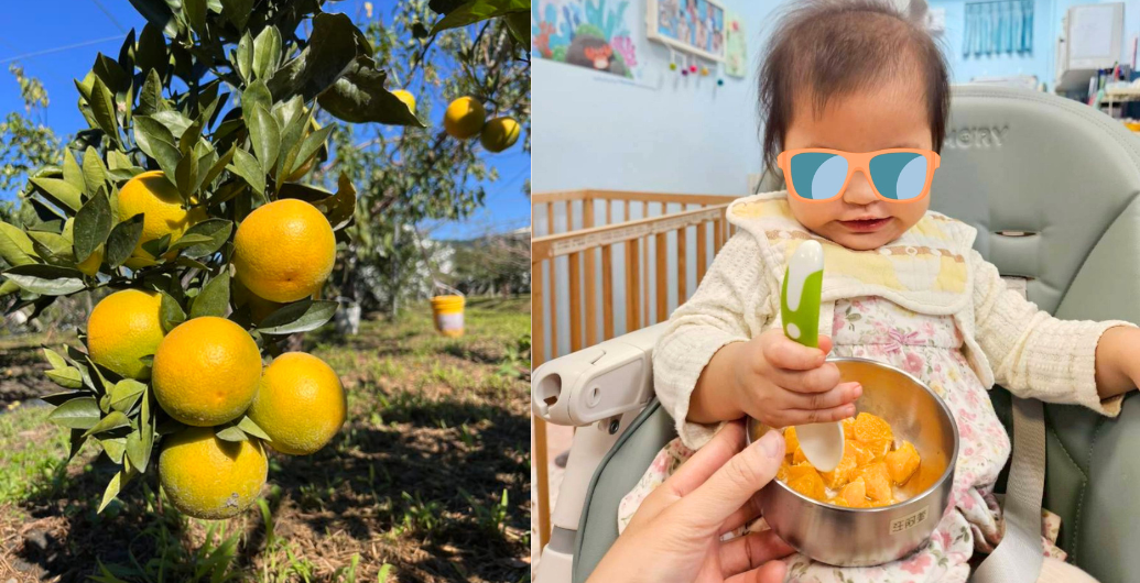 🍊柑謝有你，冬天最甜的約定，是來自東勢的愛心！💛