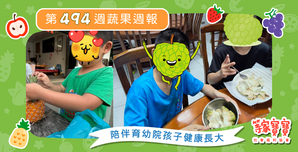 【看見日常，也看見未來】育幼院蔬果配送第494週