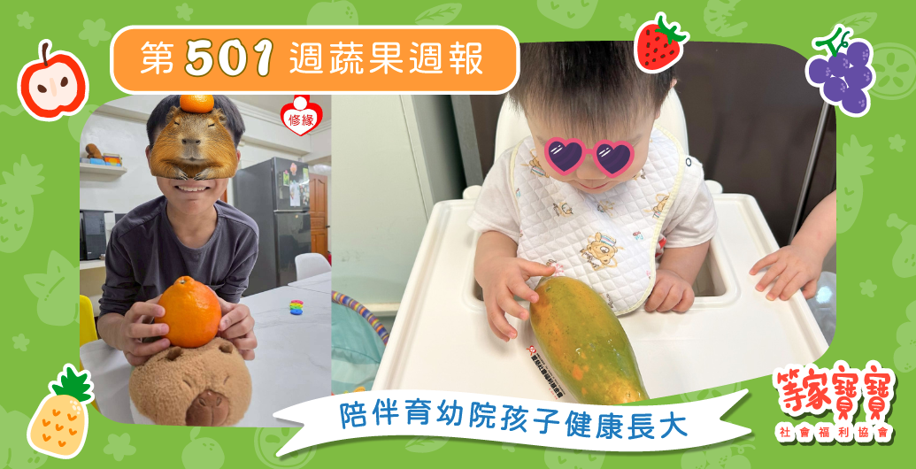 【夢想發光中，邀你一起看見孩子的未來】育幼院蔬果配送第501週