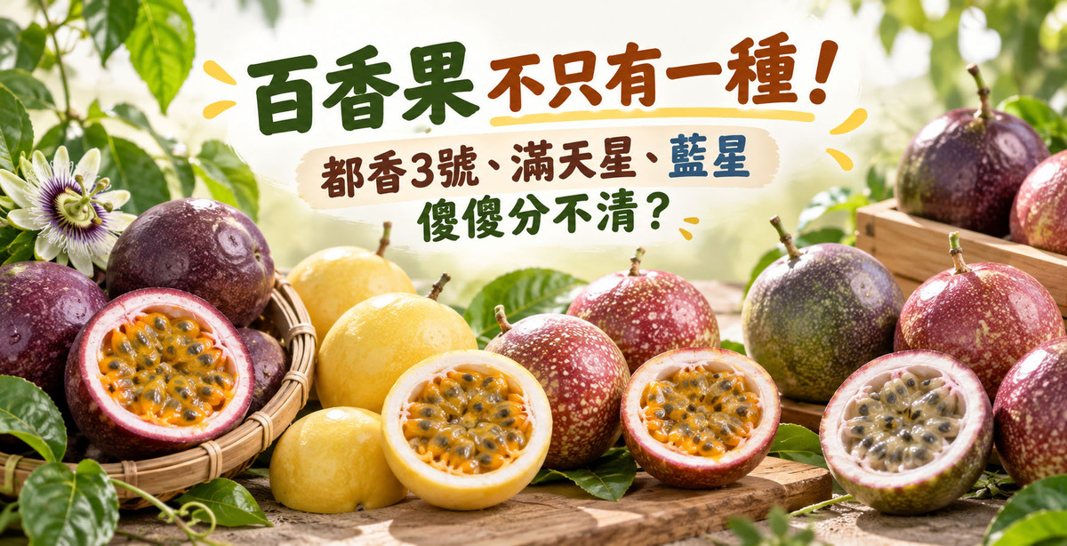 百香果不只有一種！都香3號、滿天星、藍星傻傻分不清？