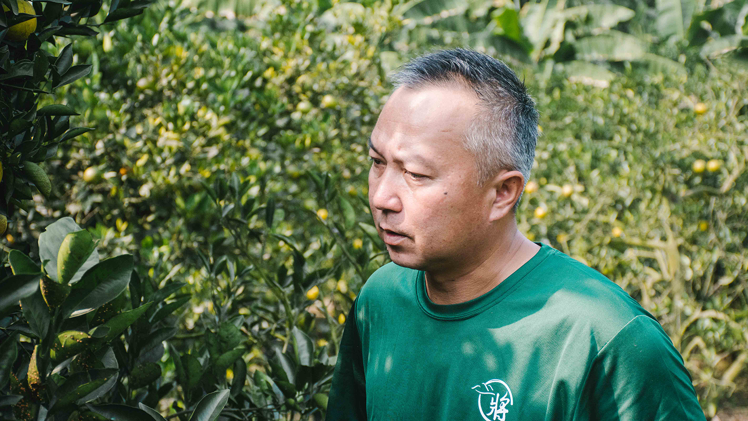 柳丁 將軍山 一群農夫 魏宗淇 柑橘 山橙豐味