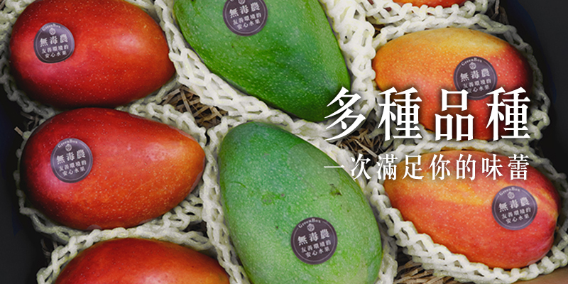 芒果 無毒農 知果堂 愛文 金煌 貴妃 水蜜桃 烏香 夏雪
