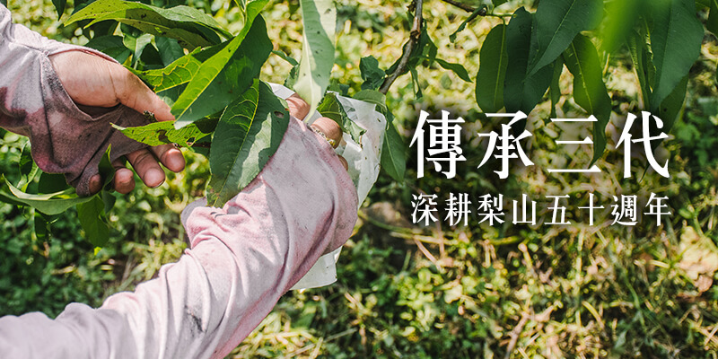 無毒農,水蜜桃,小農,桃子,拉拉山,梨山,網購,台灣,禮盒,無毒,安心,水果,知果堂,友善環境,支持小農