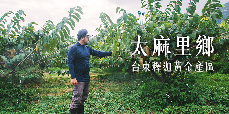 無毒農 釋迦 李俊儀 小農 大目釋迦 鳳梨釋迦 台東 太麻里 網購 禮盒 知果堂 番荔枝 無毒 有機 安心 水果 友善環境 