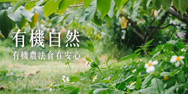 無毒農 釋迦 李俊儀 小農 大目釋迦 鳳梨釋迦 台東 太麻里 網購 禮盒 知果堂 番荔枝 無毒 有機 安心 水果 友善環境 