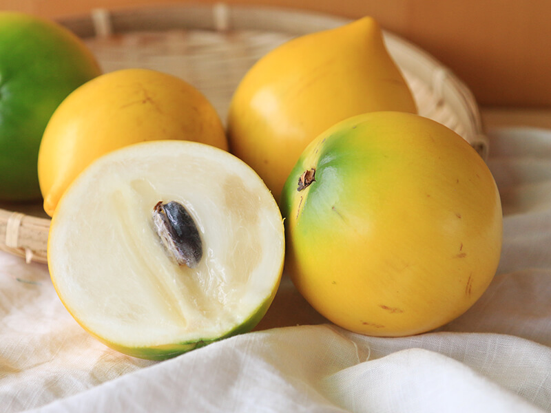 【珍稀黃金果】不一樣鱷魚農場