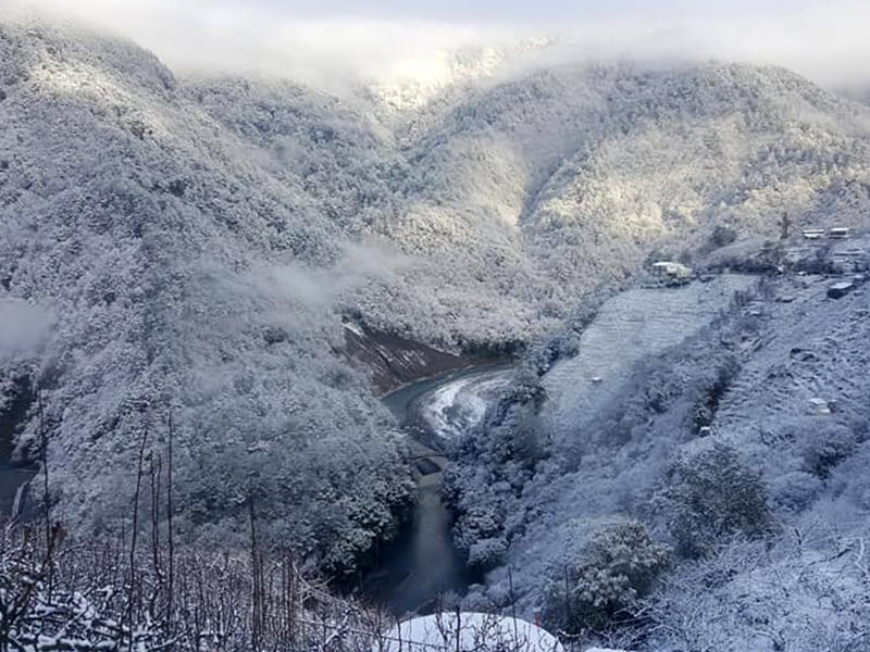 梨山