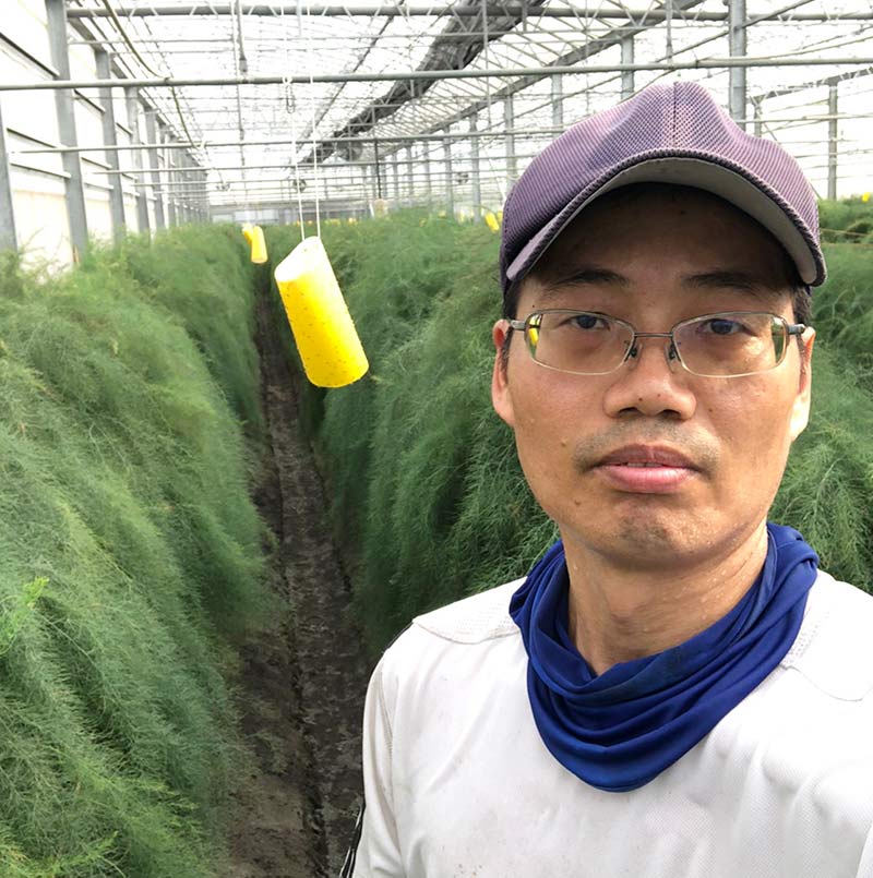 蘆筍,小農,無毒蘆筍,蘆筍纖維,無毒農,屏東,有信蘆筍,產地直送,新鮮,嫩,蘆筍園,健康,蔬菜
