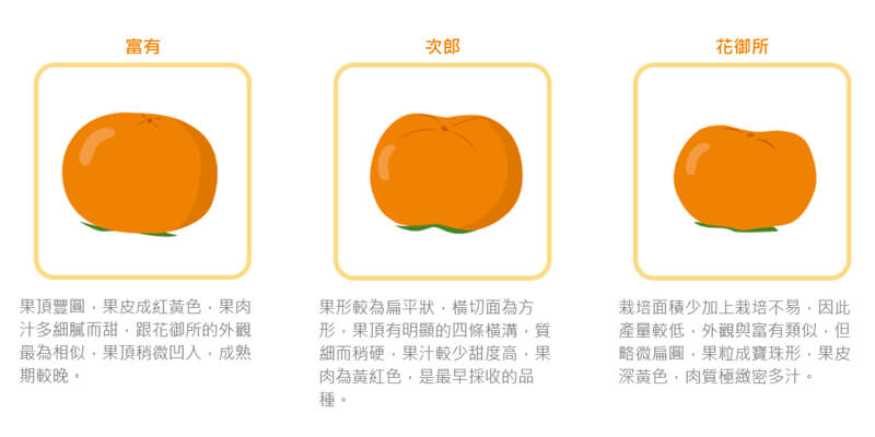 柿子品種,富有,次郎,花御所,日本甜柿,柿子