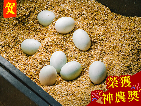 【益生菌鴨蛋】福華牧場
