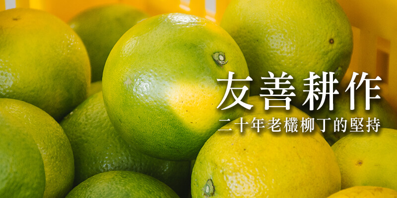 友善耕作