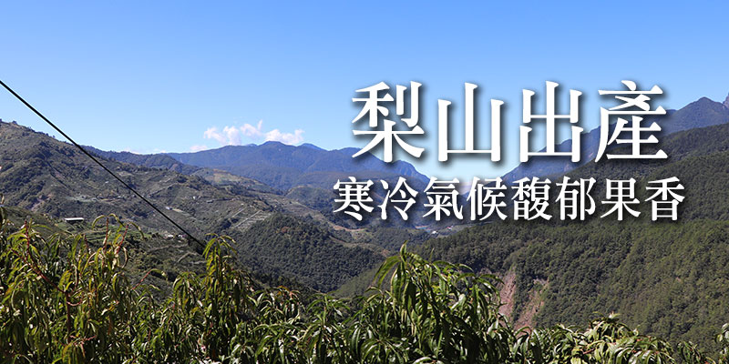 水梨,雪梨,梨山雪梨,台中梨山,梨山