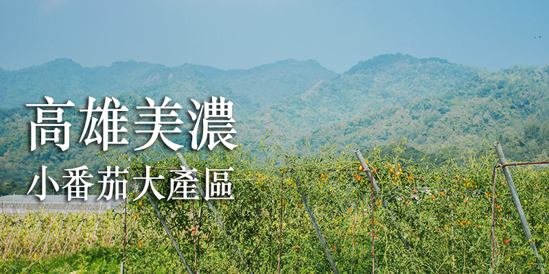 無毒農,番茄,小番茄,玉女,金瑩,橙蜜香,無毒,健康,緣田香,美濃,台灣好農,知果堂,SUPERBUY,悠活農村