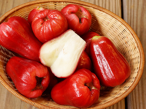 【巨鑽蓮霧】巨鑽果園