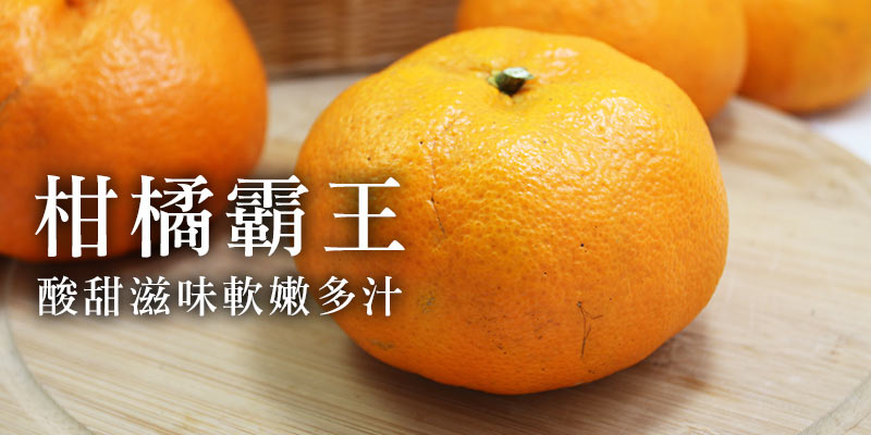 台農天王柑