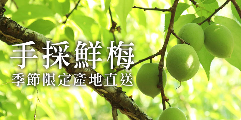 手採青梅