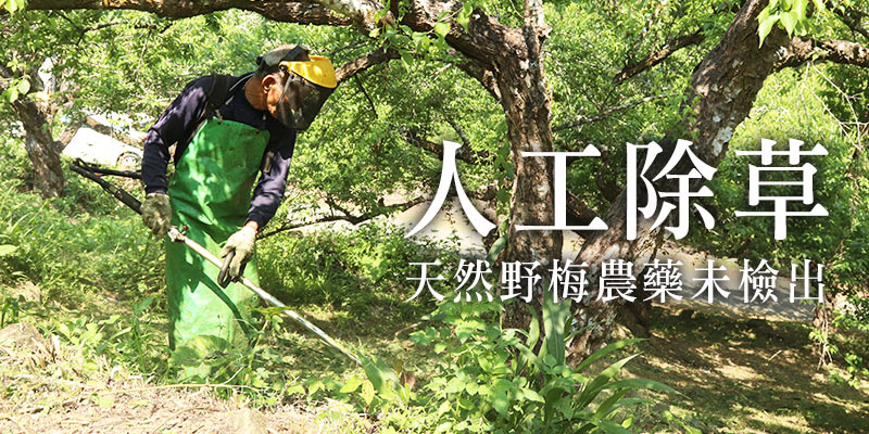人工除草