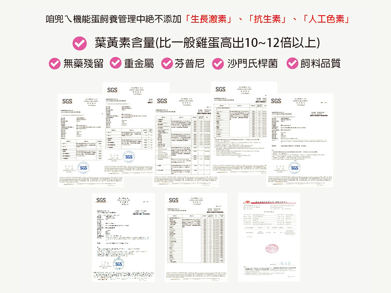 完整檢驗報告