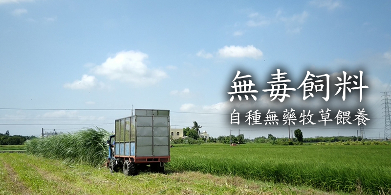 豐園羊嫩肩羊肉片