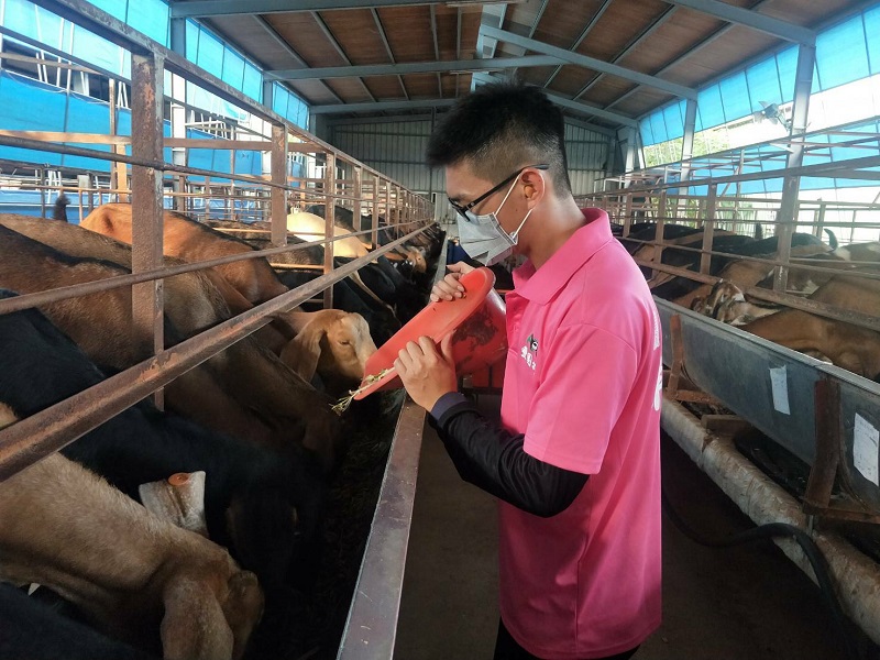 豐園羊嫩肩羊肉片