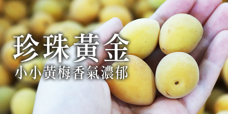 珍珠黃金梅