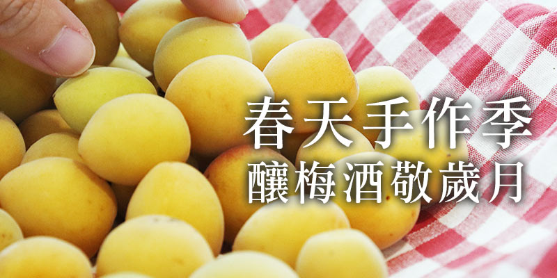 春天手做梅子 春天手做梅子
