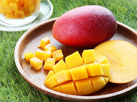 芒果季【愛文芒果】綠世界