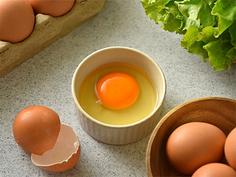 【亞麻籽放牧土雞蛋】農場晃晃