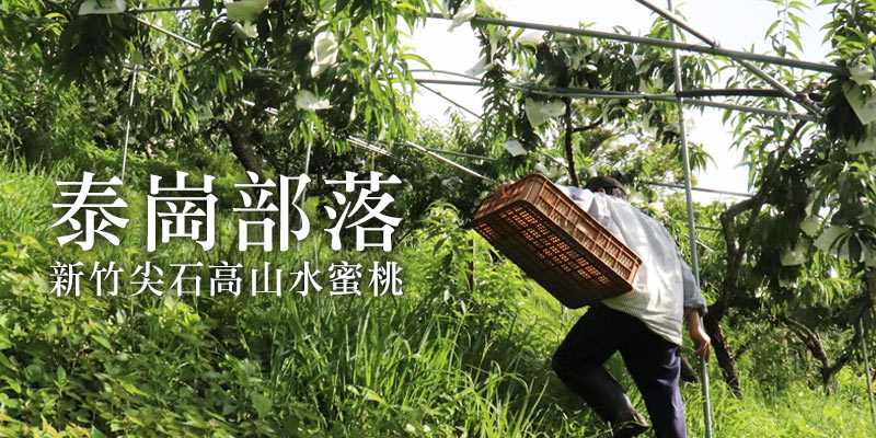 說到炎炎夏日必吃的水果，怎能不想到正宗的高山水蜜桃？！竹尖石鄉的泰崗部落有著一群年紀與我們相仿的青農，約莫25~30歲左右，所以鼓勵他們成立自己的品牌，也是希望大家能讓更多人認識到泰崗部落的水蜜桃。隨著水蜜桃的種植，部落的年輕人回來了，孩子們一年中最期待的就是這短短一兩個月的水蜜桃季。恩賜農場種植水蜜桃已有30年以上的經驗，每天凌晨五點開始採收，避免太陽把果子曬熱了影響品質。果園的日照非常充足，讓恩賜農場的水蜜桃飽滿多汁且田度足夠。
