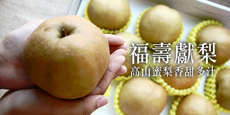 蜜梨