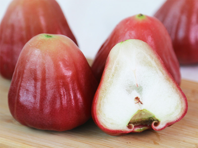 限量【黑金剛蓮霧】何家蓮霧｜無毒農