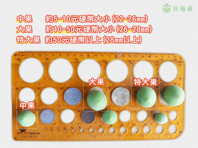 支持台灣在地小農，顆顆手採青梅通過農藥檢測，產地新鮮直送。農友粒粒手採青梅不用「竿打」。青梅在清明時節最適合做脆梅，感受青梅的酸甜濃郁香氣，無毒農人氣推薦，錯過等明年！