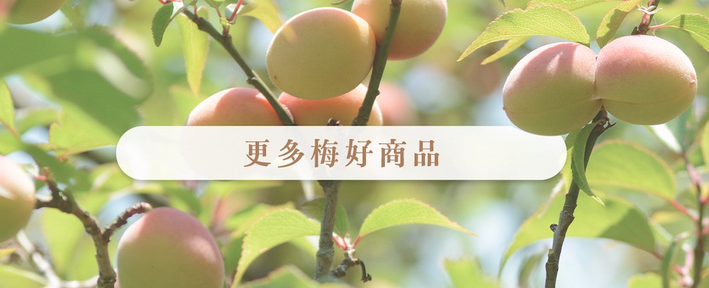 梅子季 【梅酒禮盒】（特選胭脂梅、黃梅）