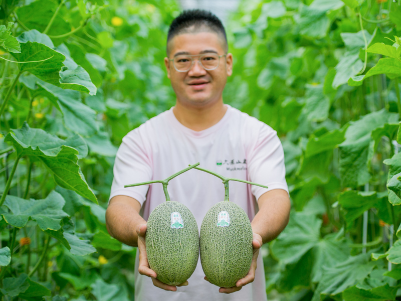 來自嘉義太保大原山農場的「嘉義極光哈密瓜」果肉脆口多汁，類似水梨的口感，其香氣帶有焦糖和香草的奶香，嘉義極光哈密瓜是甜度14至18度的台灣特有頂級水果。