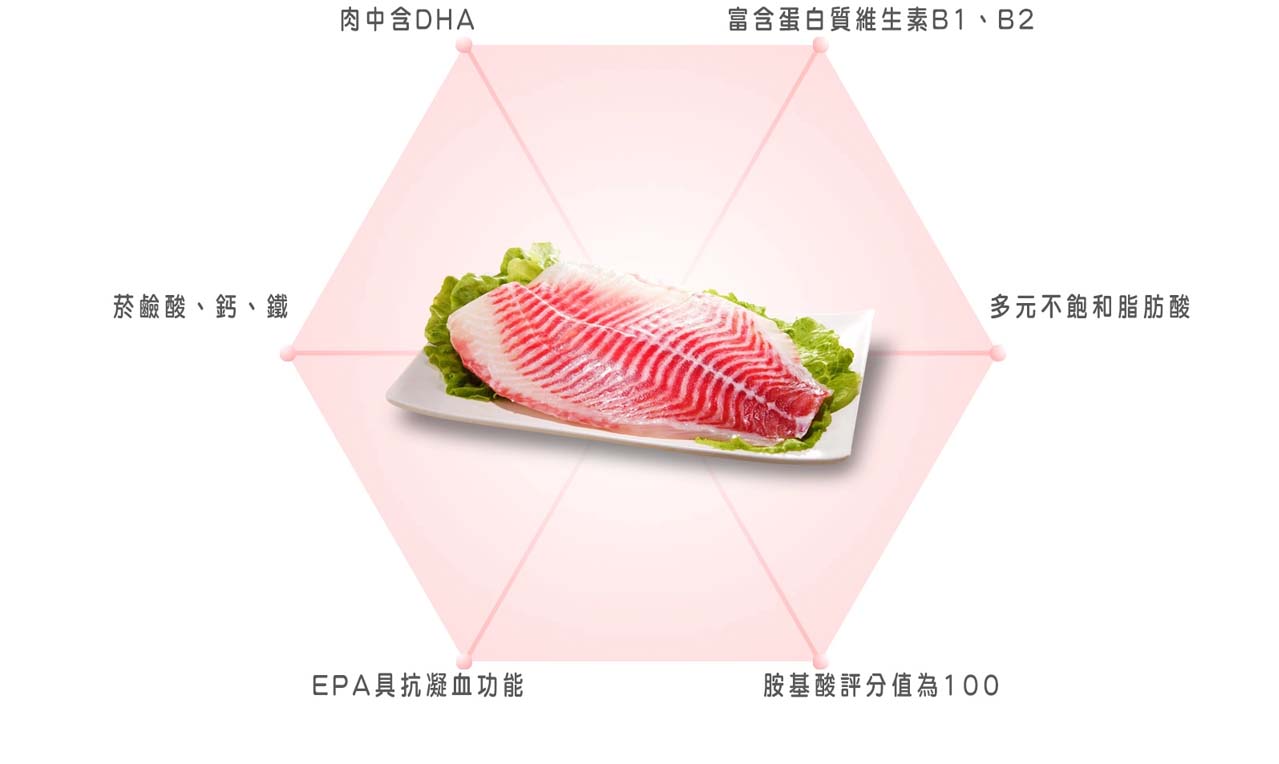 【口湖】鮮甜無添加鯛魚片