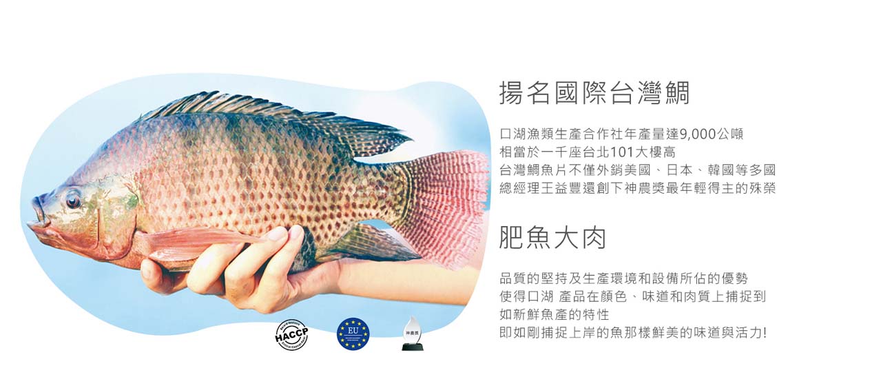 【口湖】鮮甜無添加鯛魚片