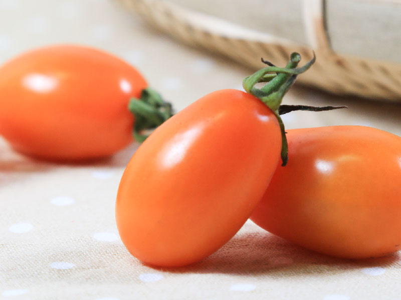 【無毒農】澄蜜小番茄