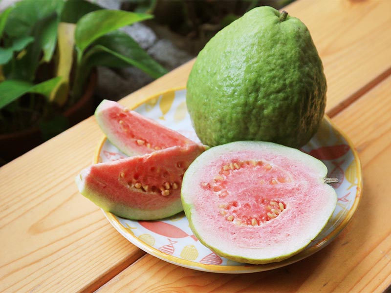 【無毒農】紅心芭樂