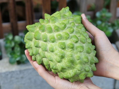 限時優惠【無毒農】鳳梨釋迦