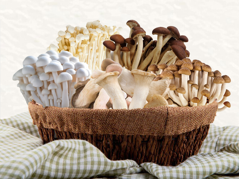 有機菇菇組（任選）