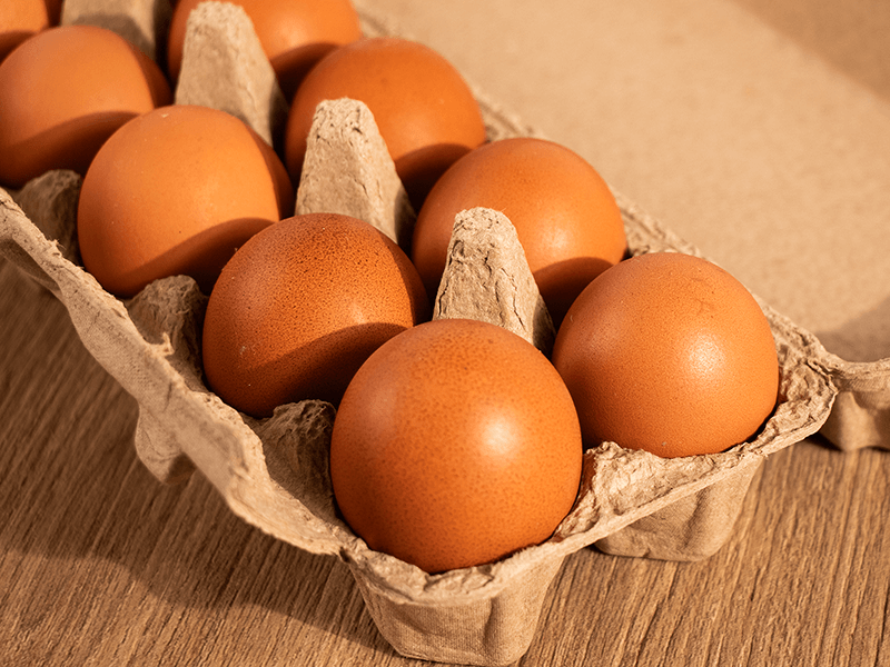 【無毒農x惠文畜牧場】平飼紅殼雞蛋