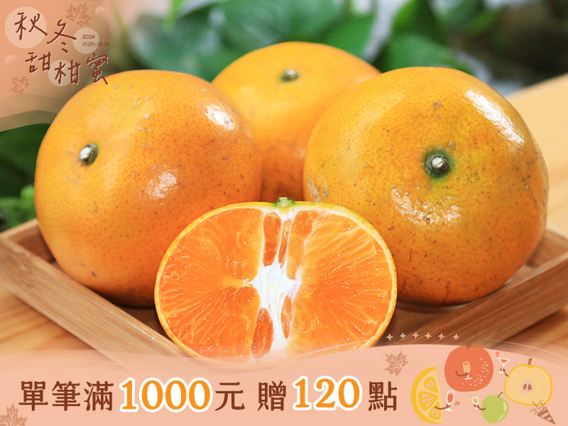 柑橘季【茂谷柑】雙連梨